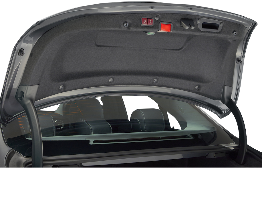 Trunk-trim1 Auria Solutions fiber based solutions