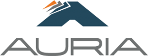Auria_RGB_120 Auria Solutions logo